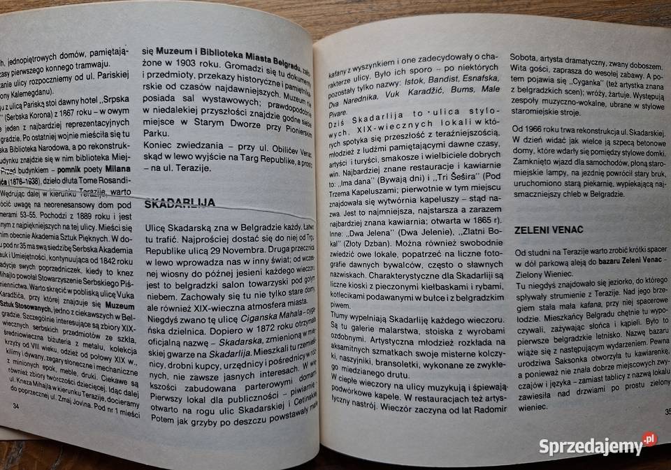 Belgrad i przewodnik turystyczny J Wojdyłło Książki i Podręczniki Kraków