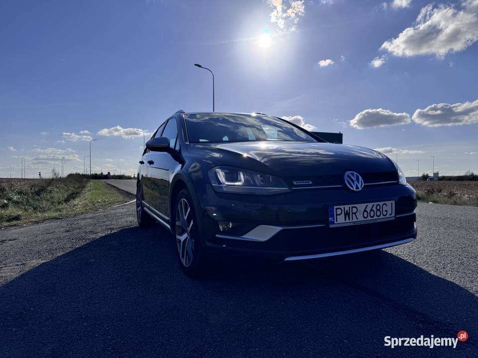 Volkswagen Golf VII Alltrack 20 TDI 4motion Września