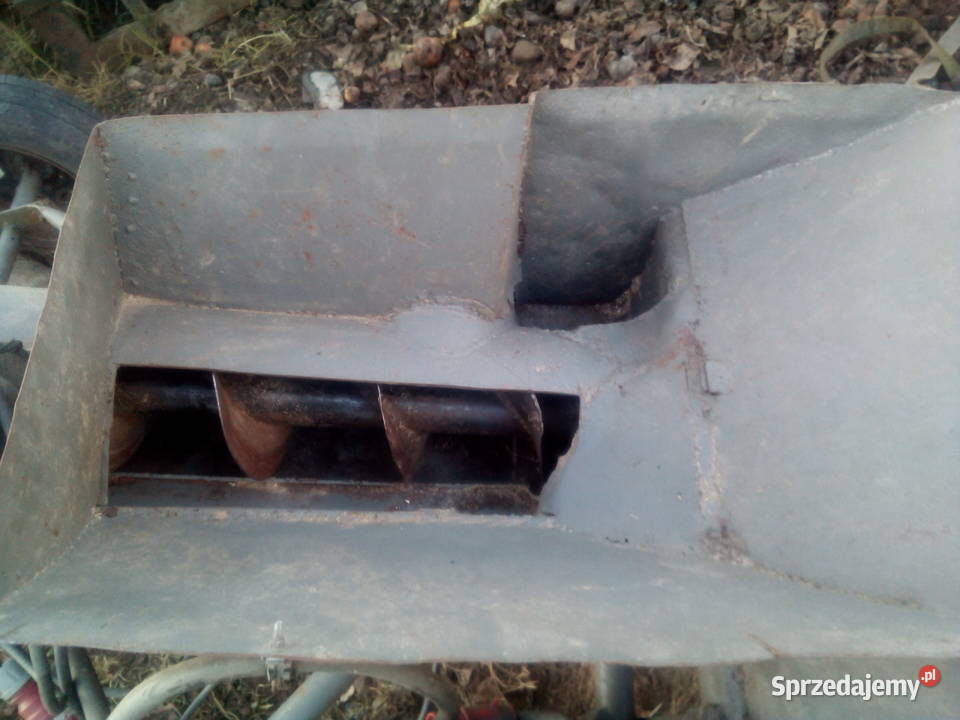 żmijka podkarpackie Straszęcin