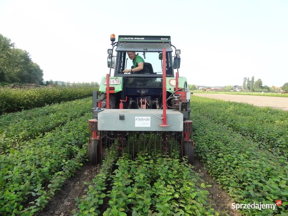 Pielnik odchwaszczacz do szkółek krzyżakowy Warszawa sprzedam