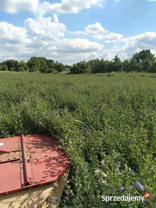 Sprzedam sianokiszonke z lucerny Słupca