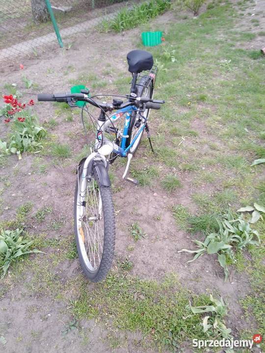 Rower Góral Klauden pomorskie Gniew