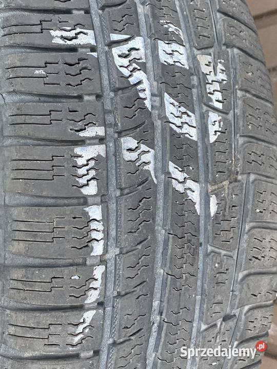 NOKIAN 22555R17 WR A3 Nokian Przecław