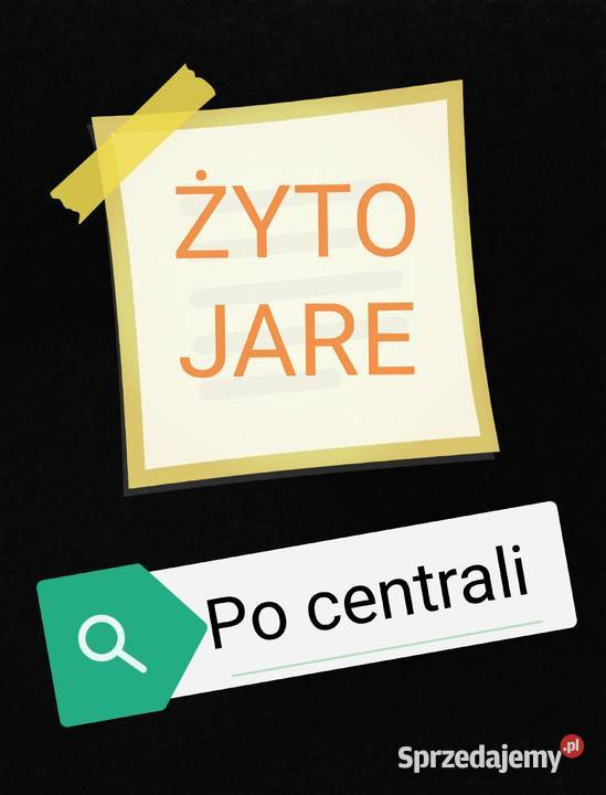 Żyto jare pierwszy centrali zyto jare Rolnictwo Włocin-Wieś sprzedam