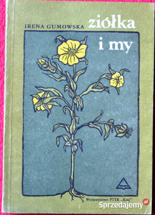 Irena Gumowska Ziółka i my Goleniów