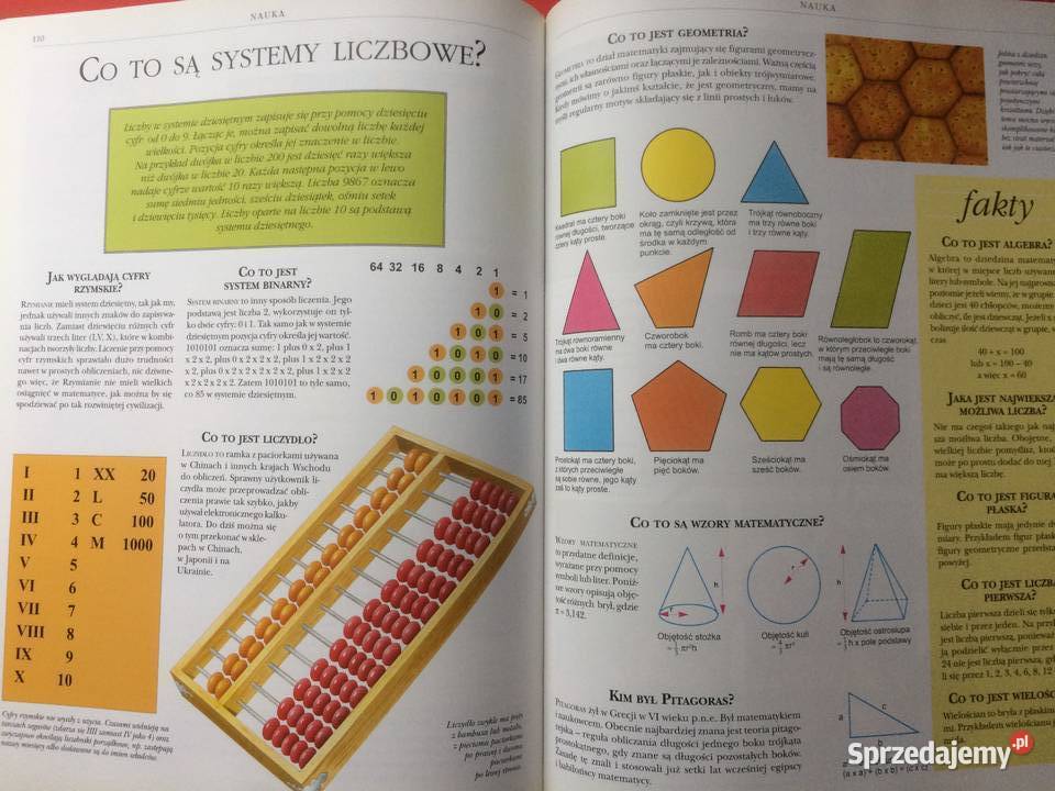 3126 Encyklopedia Szkolna