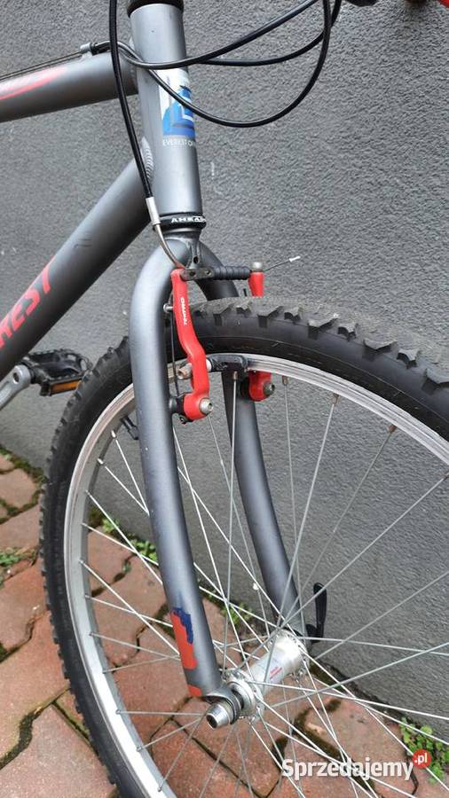 Rower EVEREST Canyon Alu rama 50 koło 26 Dębica