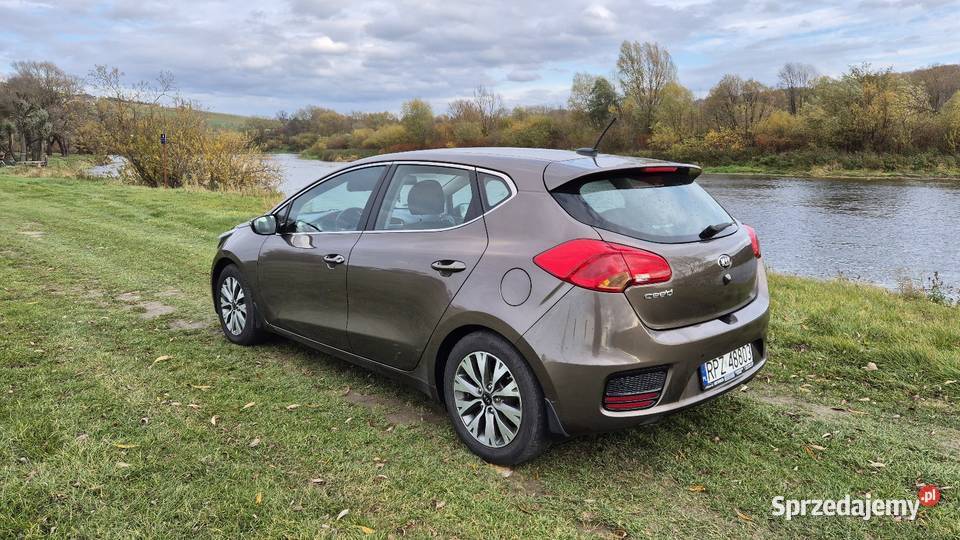 Kia Ceed 16 benzyna bezwypadkowy salon polska Jawornik Polski