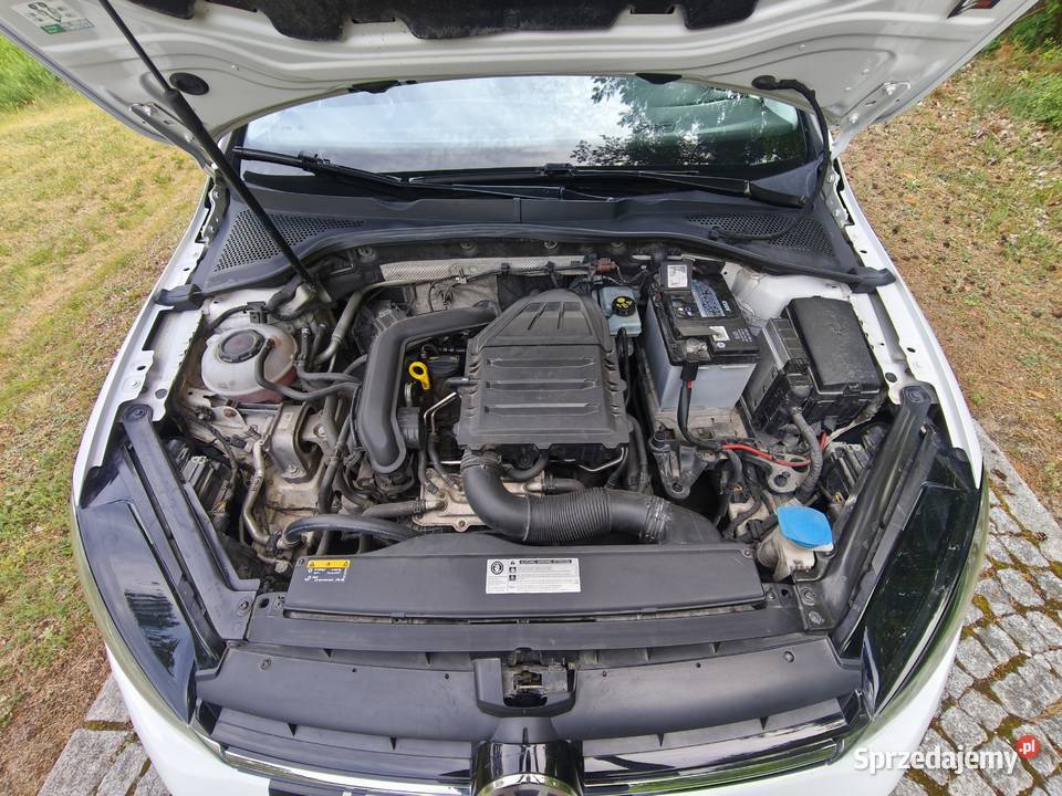 VW GOLF LIFT 2018r 10 TSI Mława
