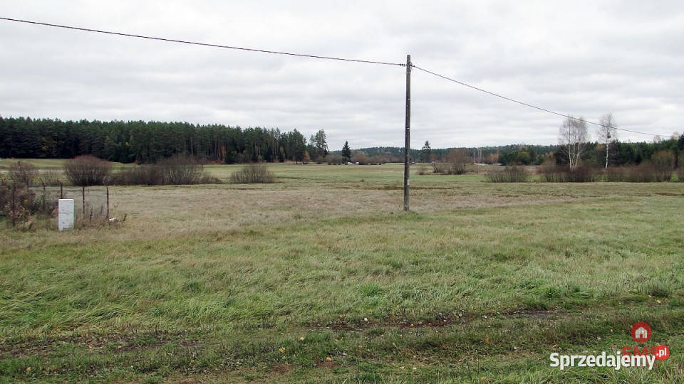 sprzedaży gruntu Królowy Most 11500m2 podlaskie