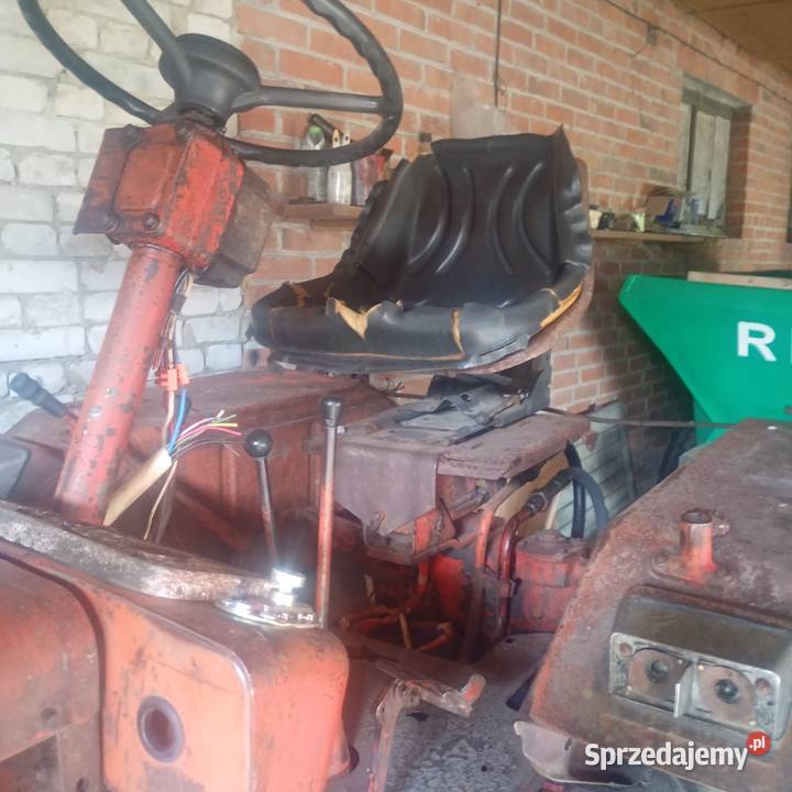 Władymirec t25 Gęś