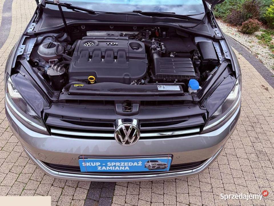 Volkswagen Golf 16 TDI 110 BlueMotion Technology Golf Krotoszyn