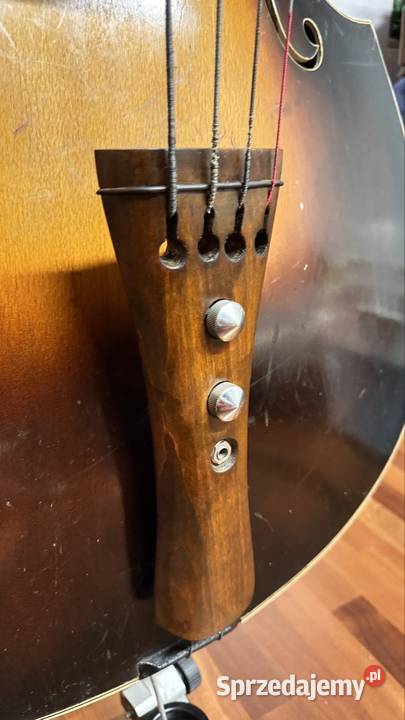 Akustycznoelektryczny kontrabas 34