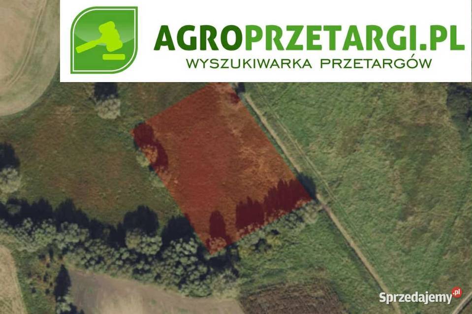 Dzierżawa 111 ha gruntu rolnego rolna kujawsko-pomorskie Wąbrzeźno