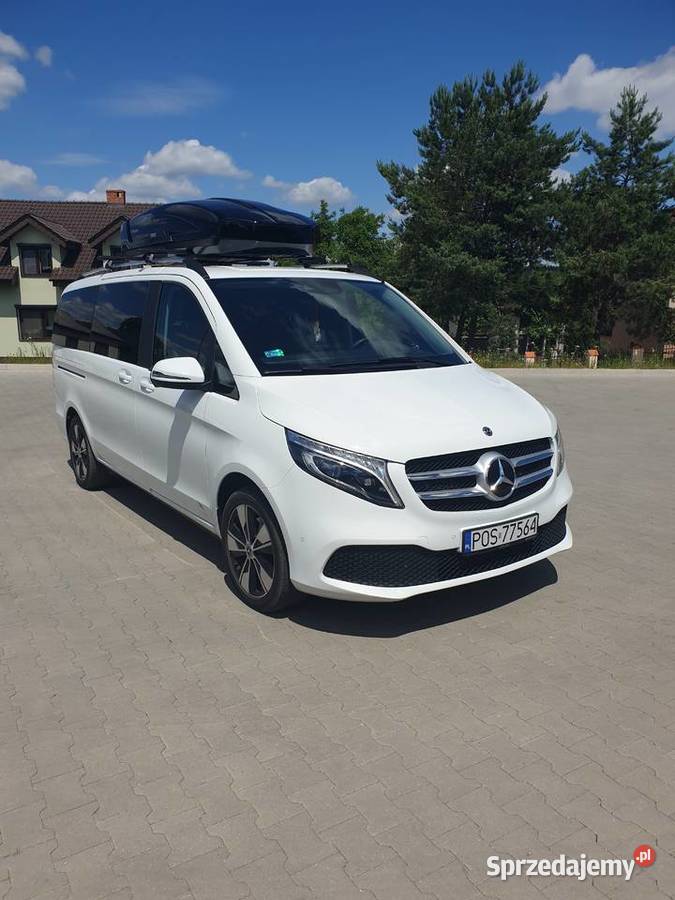 przewóz osób Holandia Milicz Trzebnica Oleśnica