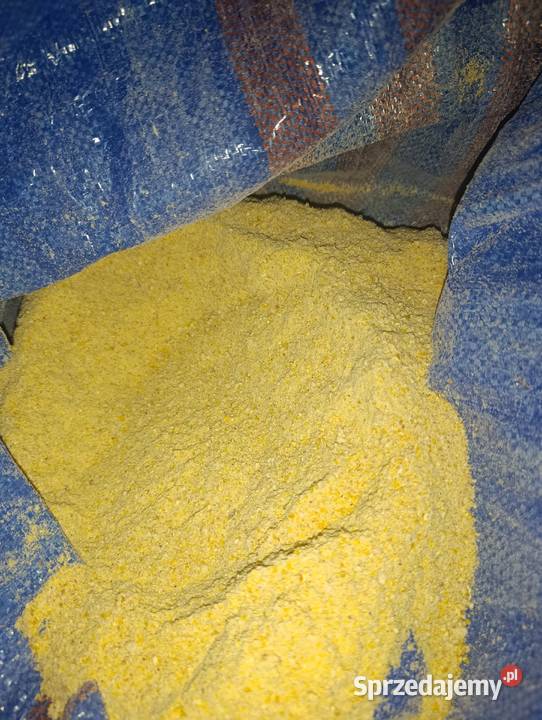 Sprzedam kukurydzę mieloną Pierzchnica