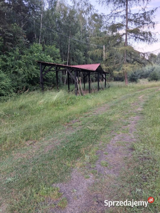Działka budowlana lesie na sprzedaż 800m2 12 świętokrzyskie Kranów