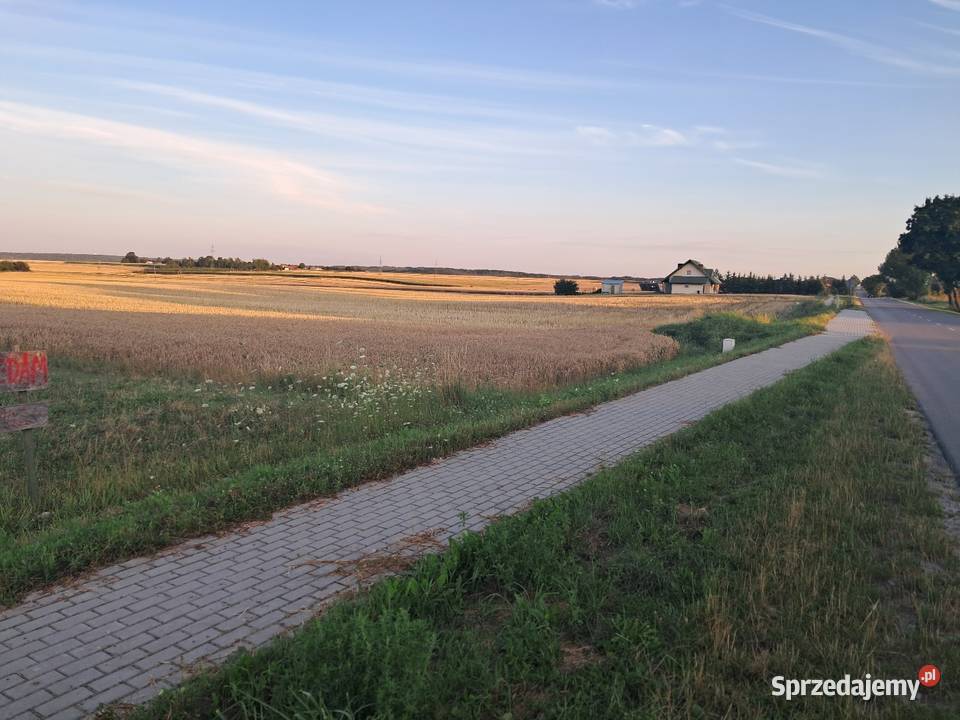 Działka Budowlana 12a 67m Sprzedaż Białowola sprzedam