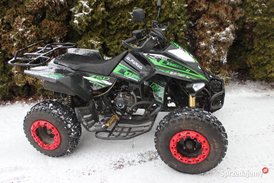 Quad 250 Cobra II 2021 przebieg 420 Goleniów