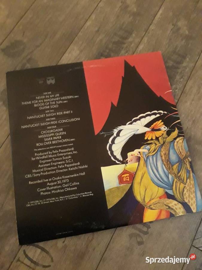 Niezapomniane koncerty MOUNTAIN Twen Peaks 1973 podkarpackie Rzeszów