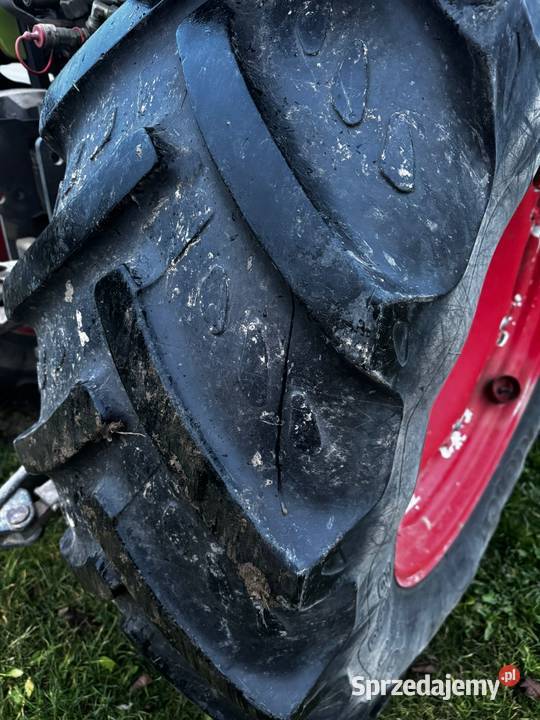 Celtis 456 RX Poniatowa