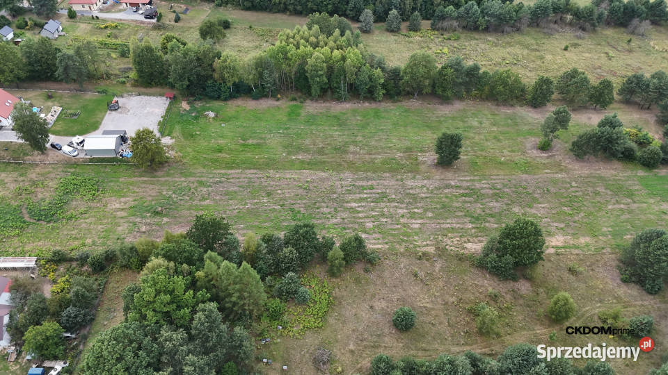 Działka na sprzedaż 910 m2 Gałęzice gm Piekoszów budowlana sprzedam