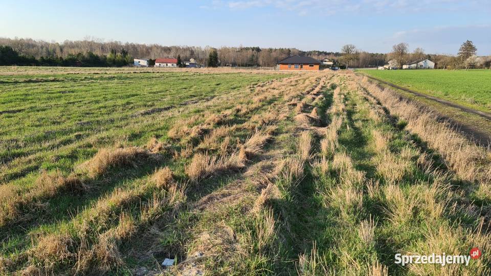 Działki z warunkami zabudowy w Rokitnicy