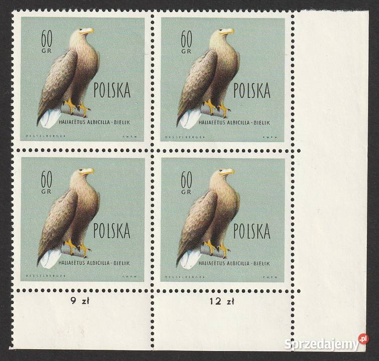 POLSKA ORZEŁ BIELIK 1960 CZYSTE Łódź