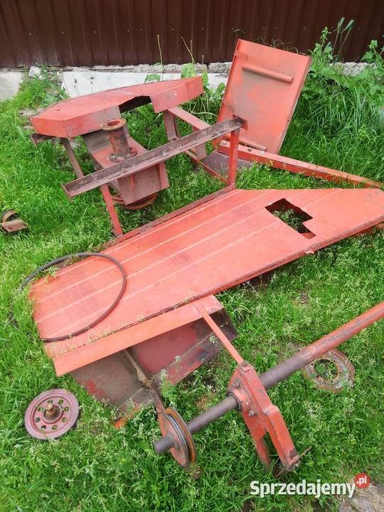 Bizon chwytacz plwe Kozłów