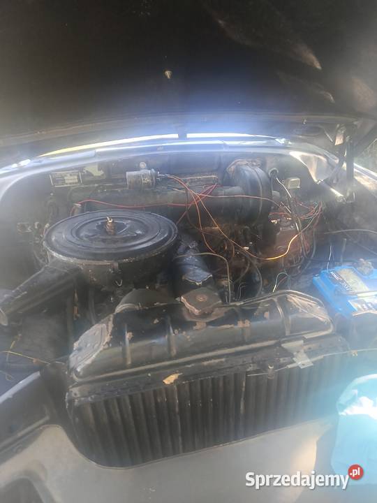Wołga 21 seria 2 178000km Łańcut sprzedam