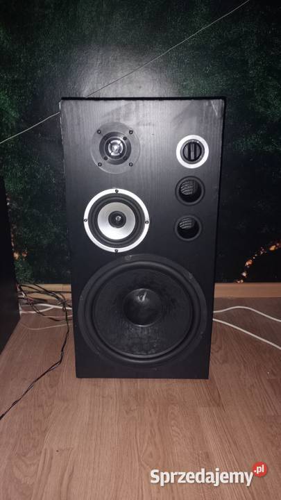 KOLUMIENKIAMPLITUNER Widzów