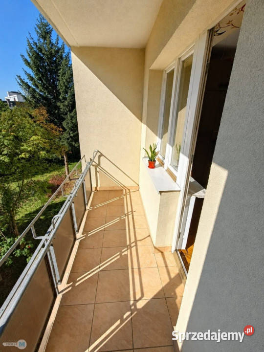 Mieszkanie sprzedam Kielce 5233m2 2 pokoje Sprzedaż