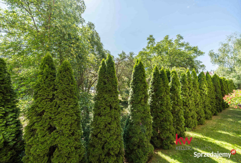 Sprzedam mieszkanie 467m2 Poznań Hulewiczów blok