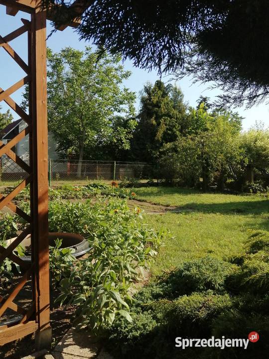 Działka Wisłą w Chełmnie 500m2 Chełmno