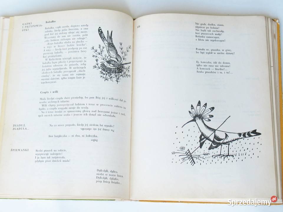 Głos przyroda 1 Wiosna lato Maria Kowalewska biologia, ekologia Kraków