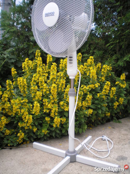 Lodówkę i inne 50cm Lodówki i zamrażarki Szczecin