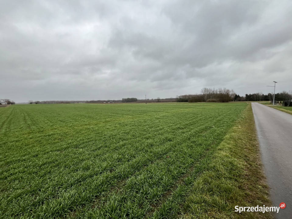 Dziełka z WZ budowlana w Babinie gm Przyłęk Babin sprzedam