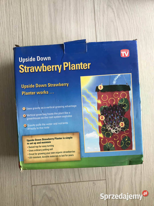 Blakonowa szklarnia pomidory truskawki Kielce