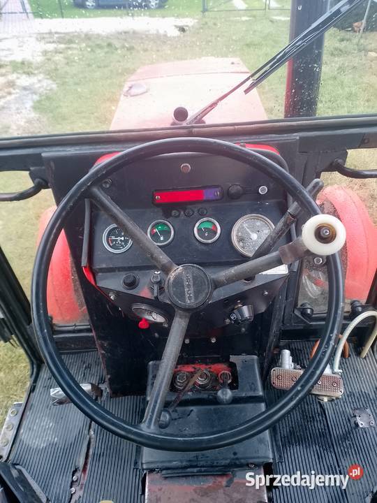 Ursus4512