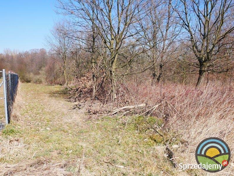 Niegoszowice gm Zabierzów działka 186 arowa w małopolskie sprzedam