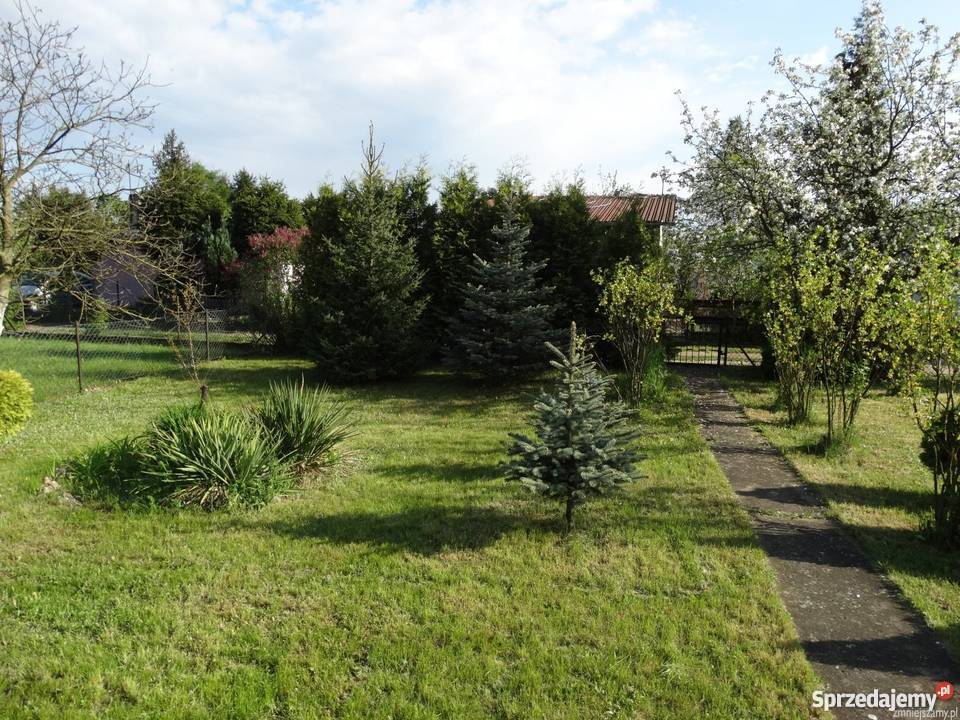 Działka ROD Smochowice Poznań 0zł/m2 Poznań