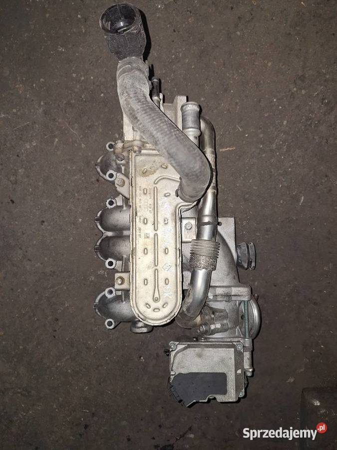 Kolektor ssący kpl PassatGolf 19 tdi BXE Rok produkcji 2008 Gołdap