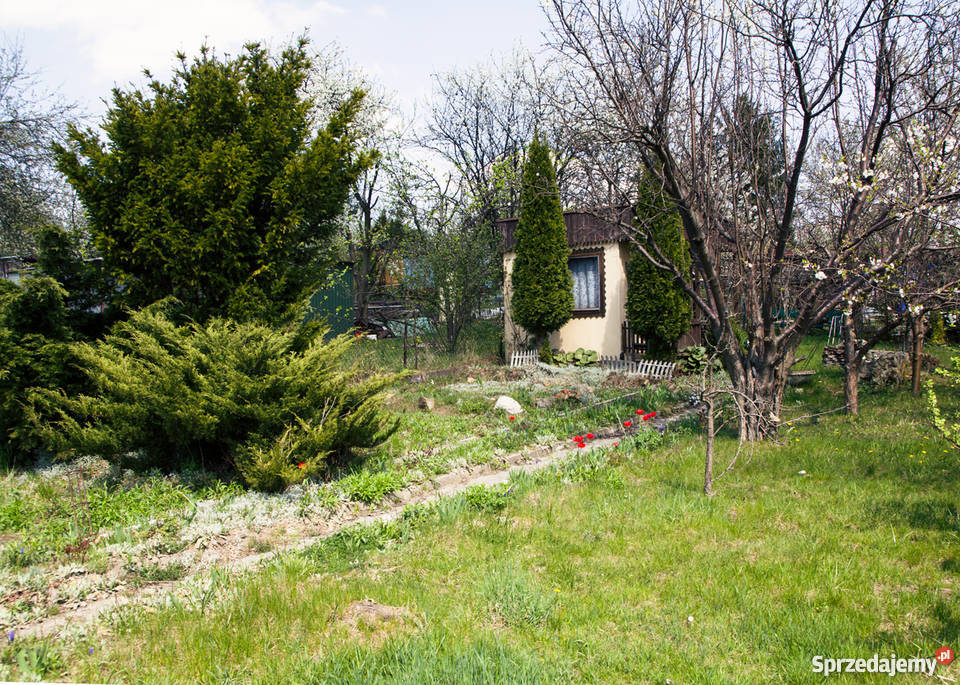 Ogródek działkowy Będzin niedaleko M1 33zł/m2 Będzin