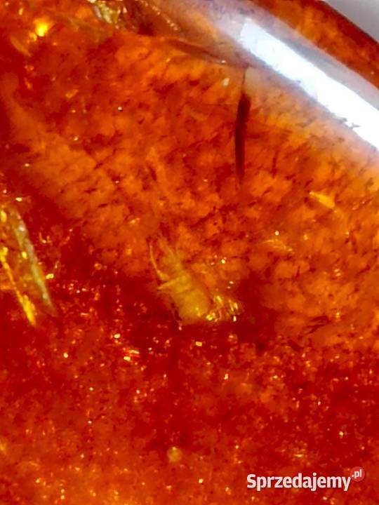 Bursztyn inkluzje Białystok sprzedam