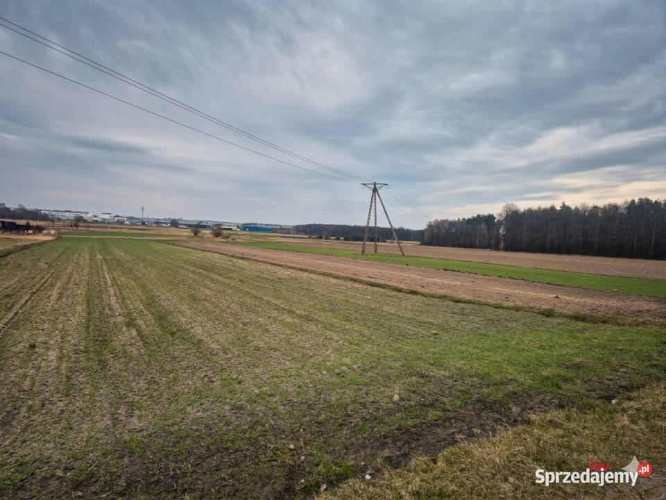 sprzedaży działki 1636m2 Tychy Barwna