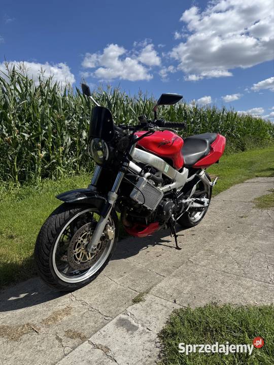 Honda Vtr 1000