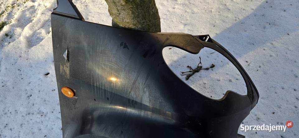 Smart Fortwo 450 Coupe błotnik przedni prawy śląskie Pawłowice