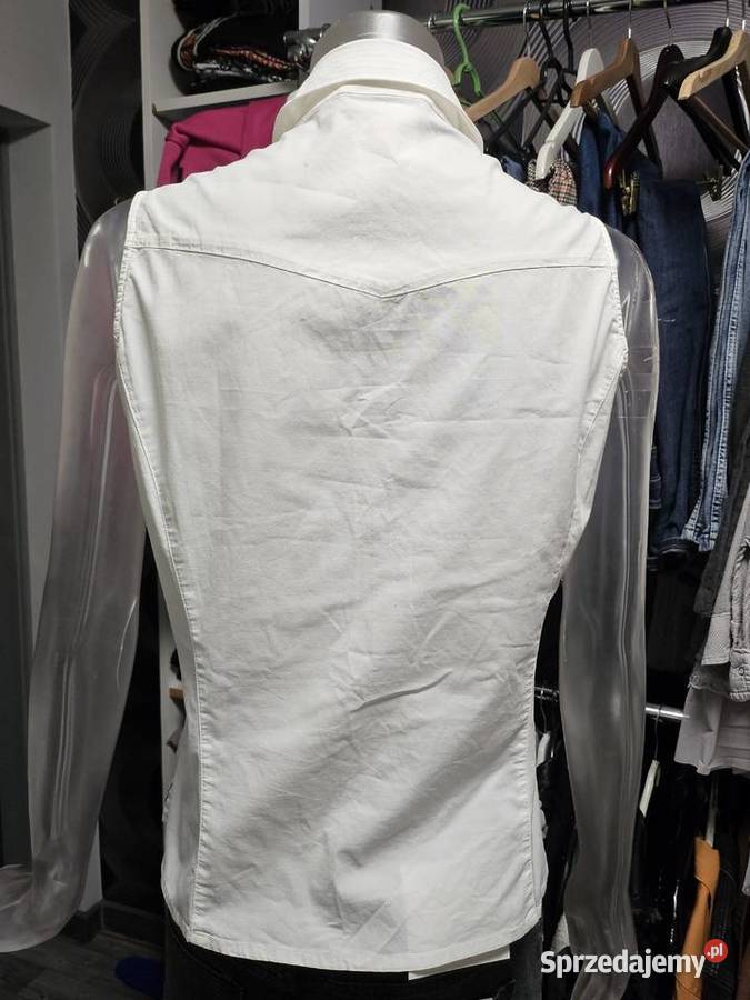 Bluzecza versacze Mucharz