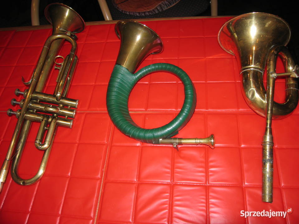Trąbka duża i małe Szczecin