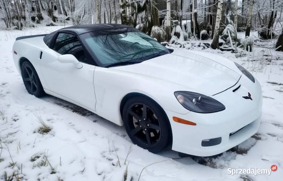 Corvette Targa C6 V8 60B 404 Corvette Ćmielów